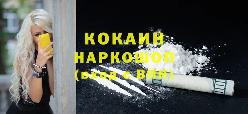 Cocaine FishScale  как найти закладки  Бобров 