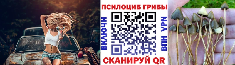 Псилоцибиновые грибы мухоморы Бобров