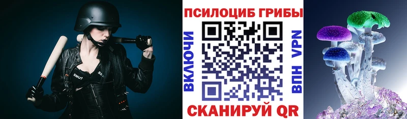 Псилоцибиновые грибы Cubensis что такое наркотик Бобров